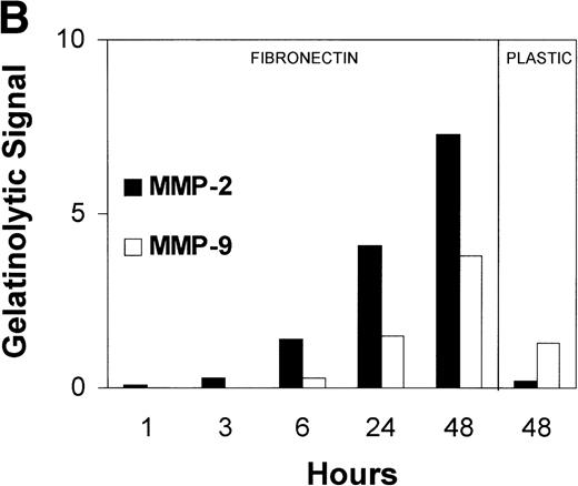 Fig. 1. (A) MMP-2 and MMP-9 induction by fibronectin. CEM T cells were cultured on several extracellular matrix proteins for 24 hours. The figure shows the zymographic pattern of concentrated conditioned medium of 107 cells plated on polylysine (lane 1), fibronectin (lane 2), laminin-1 (lane 3), type-I collagen (lane 4), and type-IV collagen (lane 5). (B) Accumulation of MMP-2 and MMP-9 in the conditioned medium over time. 107 cells were incubated on plastic or on fibronectin for different periods of time. The conditioned medium was concentrated and subjected to gelatin zymography. The figure shows the gelatinolytic signal quantified as described in the Materials and Methods section. (C) CEM cells produce activated forms of MMP-2 in response to fibronectin. Unconcentrated conditioned medium obtained from HUVEC confluent monolayers cultured on plastic was subjected to gelatin zymography in the absence (−) or in the presence (+) of p-aminophenylmercuric acetate (APMA). Concentrated conditioned medium from 107 CEM cells cultured on fibronectin (Fn) for 24 hours disclosed an identical zymographic pattern.