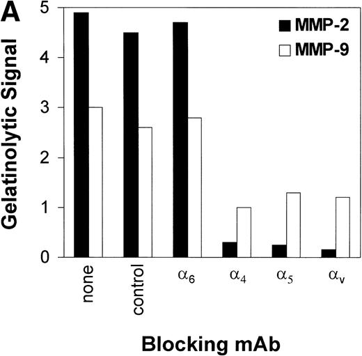 Fig. 3. (A) Inhibition of fibronectin-induced MMP-2 and MMP-9 by blocking MoAb against integrin chains. 107 CEM cells per condition were preincubated with medium alone or with MoAb against 4, 5, and V integrin chains (fibronectin receptors); 6 integrin chain (a laminin receptor); or the anti-CD20 93.1B3 (a B-cell lineage marker) before exposure to fibronectin. Conditioned medium was concentrated and subjected to gelatin zymography. Graph shows variation in gelatinolytic signals compared with the signal obtained with untreated cells exposed to fibronectin. (B) Membrane-associated MMP-2 expression induced by fibronectin-derived synthetic peptides. CEM cells were exposed to GRGDSPC, EILDVSPT, a combination of both, or to the control peptide GRGES at 100 μg/mL for 16 hours. Histograms show distribution of fluorescence intensity in 5 × 103 cells per condition incubated with the MoAb Ab-3 recognizing MMP-2. (C) Pro-MMP-2 and pro-MMP-9 production stimulated by fibronectin-derived synthetic peptides. 2 × 107 CEM cells were cultured on plastic (lane 1) or on plastic coated with GRGDSPC (lane 2), EILDVSPT(lane 3), or both (lane 4) at 100 μg/mL. The conditioned medium obtained after 48 hours was concentrated and subjected to gelatin zymography.
