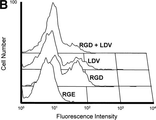 Fig. 3. (A) Inhibition of fibronectin-induced MMP-2 and MMP-9 by blocking MoAb against integrin chains. 107 CEM cells per condition were preincubated with medium alone or with MoAb against 4, 5, and V integrin chains (fibronectin receptors); 6 integrin chain (a laminin receptor); or the anti-CD20 93.1B3 (a B-cell lineage marker) before exposure to fibronectin. Conditioned medium was concentrated and subjected to gelatin zymography. Graph shows variation in gelatinolytic signals compared with the signal obtained with untreated cells exposed to fibronectin. (B) Membrane-associated MMP-2 expression induced by fibronectin-derived synthetic peptides. CEM cells were exposed to GRGDSPC, EILDVSPT, a combination of both, or to the control peptide GRGES at 100 μg/mL for 16 hours. Histograms show distribution of fluorescence intensity in 5 × 103 cells per condition incubated with the MoAb Ab-3 recognizing MMP-2. (C) Pro-MMP-2 and pro-MMP-9 production stimulated by fibronectin-derived synthetic peptides. 2 × 107 CEM cells were cultured on plastic (lane 1) or on plastic coated with GRGDSPC (lane 2), EILDVSPT(lane 3), or both (lane 4) at 100 μg/mL. The conditioned medium obtained after 48 hours was concentrated and subjected to gelatin zymography.