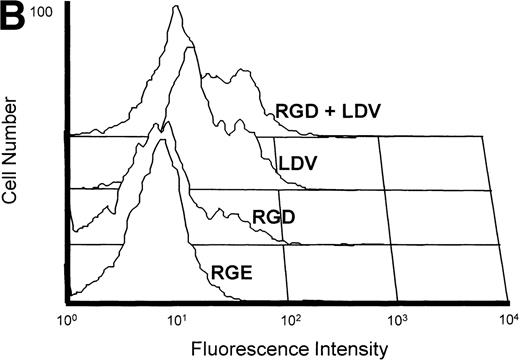 Fig. 5. (A) Induction of MMP-14 expression in CEM cells by fibronectin. MMP-14 (MT1-MMP) transcripts obtained from baseline CEM cells (lane 1) and CEM cells exposed to fibronectin (10 μg/mL) for 4 hours (lane 2). Concomitant amplification of β2-microglobulin shows equivalent amounts of template in both samples. Lane 3 shows the Nco I restriction fragments of the 828 bp PCR product. (B) Surface expression of MMP-14 induced by fibronectin-derived peptides in CEM cells. CEM cells were incubated with either GRGDSPC, EILDVSPT, a combination of both, or the control peptide GRGES at 100 μg/mL for 16 hours and subjected to flow cytometry. Histograms show fluorescence intensity distribution among 5 × 103 cells immunostained with the polyclonal antibody Ab-2 recognizing MMP-14.