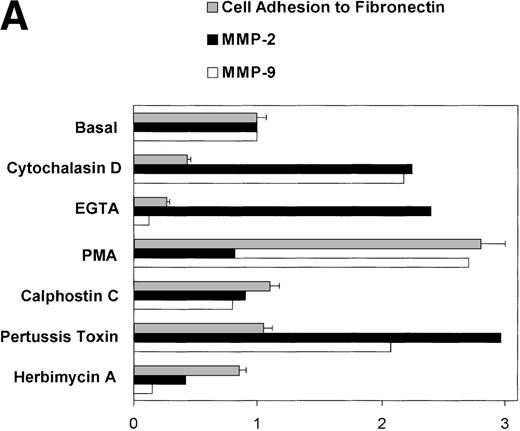Fig. 6. (A) Changes in fibronectin-induced MMP-2 and MMP-9 production achieved by manipulating integrin-mediated signal transduction pathways. 107 CEM cells were exposed to the above-described chemicals 30 minutes before exposure to fibronectin. Conditioned medium was obtained after 6 hours, concentrated, and subjected to gelatin zymography. Graph shows the variation in the intensity of the fibronectin-induced gelatinolytic signal induced by treatment with the different products and their simultaneous effect on cell adhesion, both expressed as a percentage of those obtained by fibronectin alone (labeled basal). (B) Intensity of MMP-2 and MMP-9 production induced by exposure to soluble or solid-phase fibronectin. 107 CEM cells were exposed to soluble (10 μg/mL) or solid-phase (plastic surfaces coated with 100 μg/mL) fibronectin for 24 hours. Conditioned media were concentrated and subjected to gelatin zymography. (C) Fibronectin-induced MMP-2 and MMP-9 production by cells transfected with a dominant negative mutant of Ha-Ras. 107CEM cells transfected with Ha-Ras-Asn 17, cloned in the dexamethasone-inducible vector pMMTV, were exposed to soluble fibronectin for 24 hours. Conditioned medium from transfected cells was concentrated and subjected to gelatin zymography. Lane 1 shows absence of gelatinolytic activity in conditioned medium from transfected cells stimulated with 0.5 μmol/L dexamethasone without exposure to fibronectin. Lanes 2 and 3 display gelatinolytic signals provided by conditioned medium from untreated transfected cells (lane 2) and from transfected cells treated with 0.5 μmol/L dexamethasone (lane 3), both exposed to fibronectin. (D) Effect of PI-3K, MEK-1/2, and p38 MAPK inhibition on fibronectin-induced MMP-2 and MMP-9 production. 2 × 107 CEM cells were preincubated with several very specific inhibitors of PI-3K (wortmannin), ERK-1/2 kinase (PD 98059), or p38 MAPK (SB 202190) for 30 minutes before exposure to soluble fibronectin at 10 μg/mL. Conditioned medium was obtained 6-hours later, concentrated, and subjected to gelatin zymography. The picture shows the gelatinolytic signals provided by conditioned medium from untreated cells exposed to fibronectin (lane 1), or pretreated with PD 98059 (lane 2), wortmannin (lane 3), or SB 202190 (lane 4).