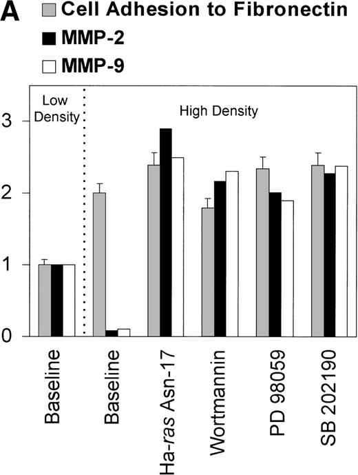 Fig. 7. (A) Abrogation of MMP-2 and MMP-9 production in response to fibronectin by high-cell density and its reversion by inhibiting PI-3K and different elements of the Ras/MAPK–signaling pathway. 2 × 107 CEM cells were cultured at a 2 × 105cells/mL or at 1 × 106 cells/mL and exposed to fibronectin. Conditioned medium was obtained after 6 hours, concentrated, and subjected to gelatin zymography. Graph shows the intensity of the gelatinolytic band in untreated cells (baseline), cells expressing Ha-Ras Asn-17, and cells treated with wortmannin, PD 98059, or SB 202190. Concomitant effect on cell binding to fibronectin is also shown. Both adhesion and intensity of the gelatinolytic bands are expressed as fold increase or decrease over that observed with the untreated cells exposed to fibronectin at low density. (B) Effect of cell density on integrin cell-surface expression. Flow cytometry analysis of membrane expression of fibronectin receptors in CEM cells cultured at low density (filled histograms) versus cells cultured at high density (clear histograms). Histograms show fluorescence-intensity distribution among 5 × 103 cells immunostained with MoAb raised against several integrin  chains and the common β chain.