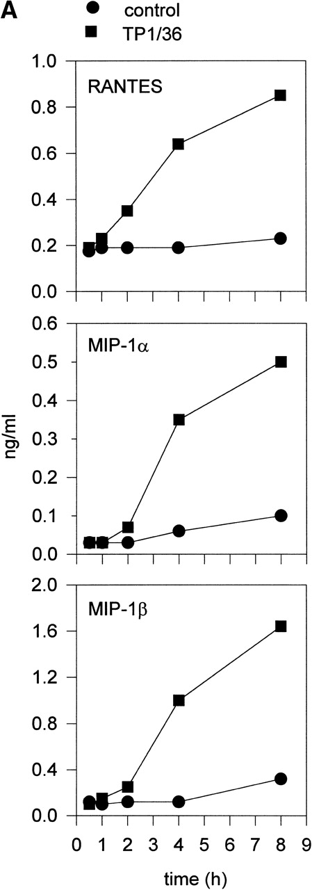 Fig. 1. Induction of chemokine release in NK cells by engagement of CD43. (A) Kinetics of the chemokine production induced by the pro-activatory anti-CD43 TP1/36 MoAb in NK cells. IL-2–activated NK cells were incubated in complete medium for different periods of time in the absence or presence of anti-CD43 TP1/36 MoAb (5 μg/mL). Cell supernatants were then assayed for different chemokines as described in Materials and Methods. This is a representative experiment of 2 independent experiments. (B) Secretion of RANTES and MIP-1β by NK cells stimulated with different MoAb. IL-2–activated NK cells were incubated in complete medium for 4 hours in the absence or the presence of the following MoAbs (5 μg/mL): anti-CD44 (HP2/9, IgG1); anti-CD43 (TP1/36 and HP2/21, IgG1 and IgM, respectively); and anti-CCR5 (IgM). Chemokines present in cell supernatants were then measured as described in Materials and Methods. In the absence of NK cells, the presence of chemokines was undetectable in complete medium (medium). The arithmetic mean ± SE of 6 independent experiments performed with cells from 6 different donors are shown. (C) The divalent F(ab′)2fragments of anti-CD43 MoAb induce RANTES and MIP-1β production in NK cells. IL-2–activated NK cells were allowed to adhere on dishes precoated with saturating concentrations of different MoAbs for 4 hours in complete medium. Chemokines present in cell supernatants were then measured. Chemokines were undetectable in complete medium (medium). The arithmetic mean ± SE of 3 experiments performed with cells from different donors are shown.