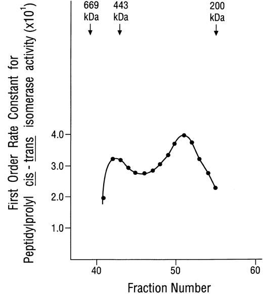 Fig. 2. Peptidylprolyl cis-trans isomerase activity displayed by fractions from the Sephacryl S-300 gel-filtration column. Aliquots of 100 μL each (from 1.8-mL fractions) were examined, without alteration, for peptidylprolyl cis-trans isomerase activity using Suc-Ala-Leu-Pro-Phe-p-nitroanilide as the substrate, as described previously.40 Standards used for calibrating the gel-filtration column were thyroglobulin, 669 kD; apoferritin, 443 kD; β-amylase, 200 kD; and yeast alcohol dehydrogenase, 150 kD. The peak at fraction no. 42 corresponds to a mass of approximately 490 kD. The peak at fraction no. 51 corresponds to a mass of approximately 280 kD.