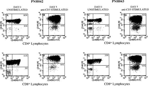 Fig. 4. Flow cytometry dot plots from 2 patients (PNH042 and PNH 043) showing conversion of GPI-deficient T cells from a naive phenotype (CD45R0−) to a memory (CD45R0+) phenotype after stimulation in an anti-CD3 solid phase culture system. Plots A and C and E and G are unstimulated CD4+ lymphocytes and CD8+ lymphocytes, respectively. These plots clearly illustrate that the GPI-deficient (CD48−) components to be predominantly CD45R0−. After stimulation, these GPI-deficient populations convert to a memory cell phenotype with greater than 96% coexpression of CD45R0+ for CD4+ (plots B and D) and CD8+ (plots F and H) subsets in both cases studied. The residual normal components (CD48+) of CD4+ and CD8+lymphocytes although showing variable proportions of memory cells in the unstimulated controls (plots A, C, E, and G), also show maximal conversion (greater than 99%) to a memory cell phenotype in all instances (plots B, D, F, and H).