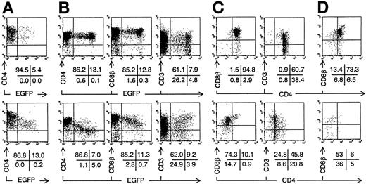 Fig. 3. Intrathymic development of transduced ISP4+progenitor cells in vitro. Bivariate dot plots of flow cytometric measurement of Nef− transduced cells (top) and Nef+ transduced cells (bottom). (A) CD4-PE versus EGFP expression of transduced ISP4+ thymocytes, 1 day after transduction. (B) CD4-APCy, CD8β-PE, and CD3-APCy versus EGFP expression of thymocytes from day 7 FTOC started with cells shown in (A). (C) CD8β-PE and CD3-PE versus CD4-APCy expression from thymocytes shown in (B), gated on EGFP+ cells (> 20 arbitrary fluorescence units). (D) CD8β-PE versus CD4-APCy expression of EGFP+ thymocytes from day 21 FTOC started with cells shown in (A). Quadrants were set to include 99% of cells stained with isotypic controls and EGFP− cells in lower left quadrant, except arbitrarily positioned to delimit DP cells in CD8β versus CD4 stainings. Figures indicate percentage of cells present in corresponding quadrants.