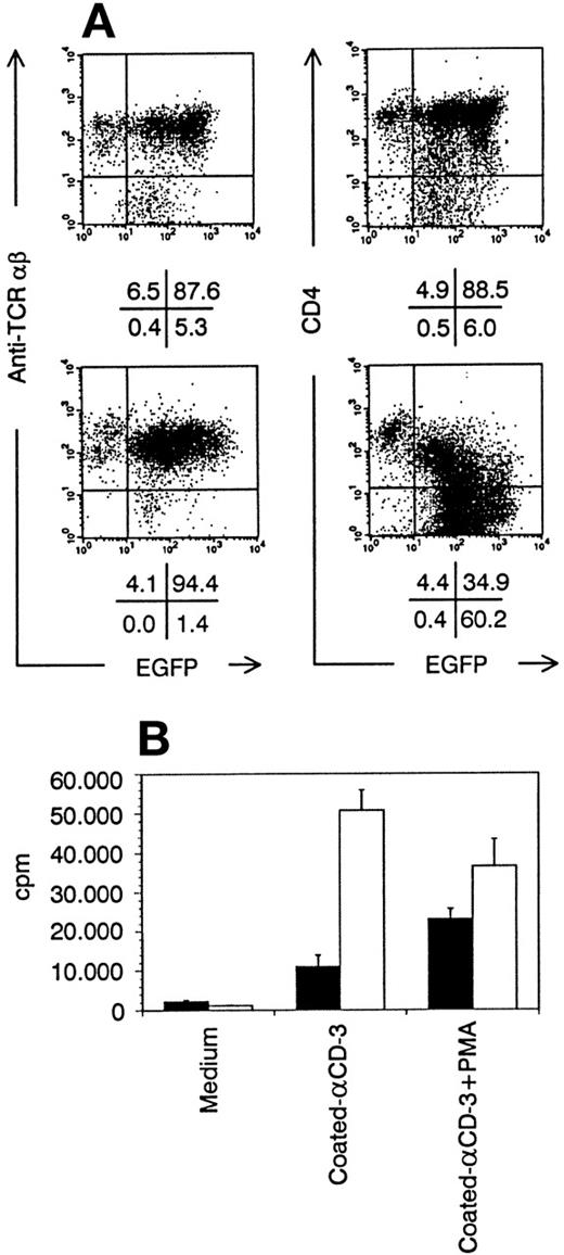 Fig. 7. T cells grown from transduced thymocytes. (A) Bivariate dot plots of flow cytometric measurement of TCR-β-PE versus EGFP and CD4-APCy versus EGFP expression of T cells grown from Nef− transduced thymocytes (top) and Nef+transduced thymocytes (bottom). Quadrants were set to include 99% of cells stained with isotypic controls and EGFP− cells in lower left quadrant. Figures indicate percentage of cells present in corresponding quadrants. (B) Proliferation of Nef−(filled bars) and Nef+ (open bars) transduced T cells shown in (A), measured by 3H-thymidine incorporation. Medium, plain culture medium; coated-CD3, well coated with CD3 monoclonal antibody; cpm, counts per minute. Columns represent average of triplicate wells and error bars indicate standard deviation.