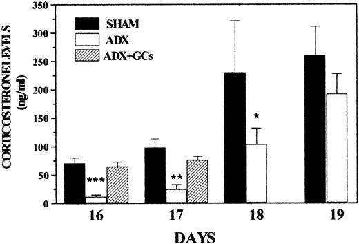 Fig. 2. Circulating corticosterone levels in fetuses either from adrenalectomized pregnant rats (Adx), control, Sham rats (Sham), and adrenalectomized pregnant rats provided with corticosterone (Adx+GCs). To reconstitute the corticosterone serum levels in the Adx-fetuses, 1 osmotic minipump (2ML4, ALZET, Alza Corporation) was subcutaneously implanted in pregnant rats during adrenalectomy surgery procedure, which regularly infused 23 μg/hour of corticosterone. Data represent the average values of 3 to 4 experiments ± standard deviation (SD). Significant differences to Sham fetuses are marked as*P ≤ .05; ** P ≤ .01,*** P ≤ .001.