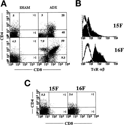 Fig. 3. (A) Flow cytometry analysis of thymic T-cell populations defined by CD4/CD8 expression in 15-(up) and 16-(down) day old Sham (left) and Adx (right) fetuses. (B) Histograms represent TcRβ expression in thymocytes from 15-(up) and 16-(down) day old Sham (open) and Adx (shadow) fetuses. (C) Thymic populations defined by CD4/CD8 expression in 15- to 16-day-old Adx fetuses from adrenalectomized mothers subcutaneously implanted with an osmotic minipump that reconstituted the corticosterone serum levels in the progeny. Results shown are representative of 3 to 4 experiments.