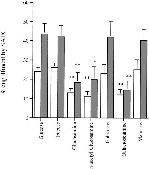 Fig. 4. Effect of the pretreatment of apoptotic eosinophils with sugar solutions on their uptake by (□) resting or (▩) IL-1–stimulated SAEC (10−10 mol/L for 20 hours). Washed aged eosinophils were resuspended in Hank’s balanced salt solution (HBSS) containing the sugars indicated at a final concentration of 25 mmol/L before use in the interaction assay. Each point represents the mean ± SEM of 4 experiments (*P < .05, **P < .001).