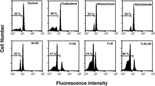 Fig. 3. Induction of apoptosis by fludarabine, mafosfamide, and mitoxantrone on B-CLL cells. Cells from patient no. 17 were incubated for 48 hours with fludarabine (F; 1 μg/mL), mitoxantrone (M; 0.5 μg/mL), and/or mafosfamide (Mf; 1 μg/mL). DNA content was quantified by PI staining and flow cytometry analysis as described in Materials and Methods.