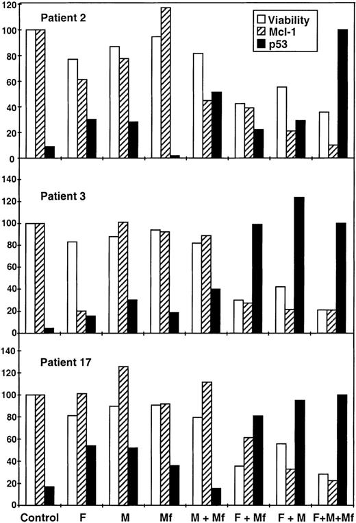 Fig. 5. Effect of the combination of fludarabine with mitoxantrone and/or mafosfamide on p53 and Mcl-1 levels. Cells from patients no. 2, 3, and 17 were incubated for 48 hours with fludarabine (F; 1 μg/mL), mitoxantrone (M; 0.5 μg/mL), and/or mafosfamide (Mf; 1 μg/mL). Cell viability was determined by the MTT assay as described in Materials and Methods and is expressed as the percentage with respect to control cells. Western blots of p53 and Mcl-1 were quantified and the values are expressed as the percentage with respect to control cells (Mcl-1) or cells incubated with the 3 drugs (p53). Similar p53 levels were obtained for the 3 patients.