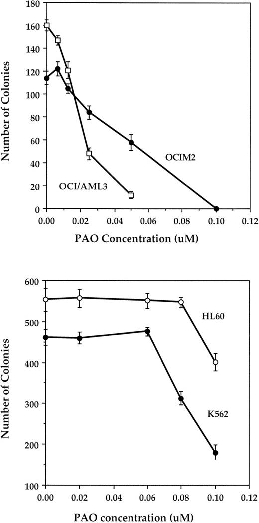 Fig. 1. Effect of PAO on AML cell line colony proliferation. The upper panel shows the effect of PAO on OCIM2 and OCI/AML3 cells, and the lower panel shows the effect on HL60 and K562 cells. Each data point represents the mean colony number ± SD in triplicate cultures.