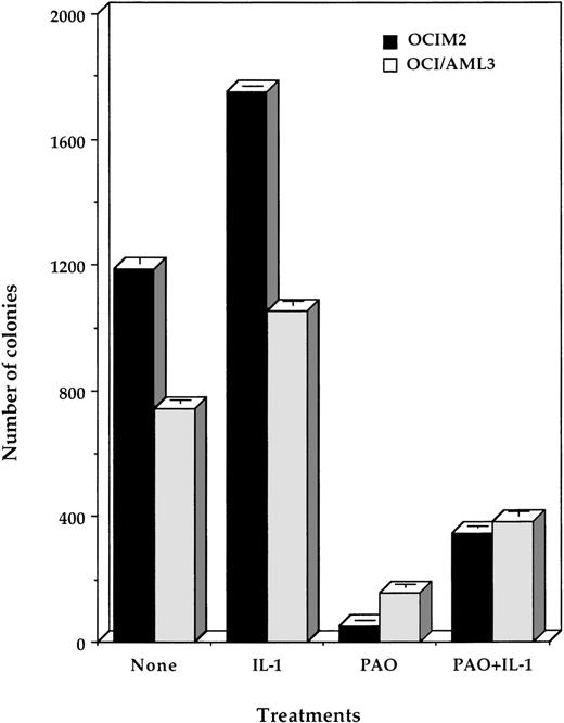 Fig. 2. Effect of PAO and IL-1β on OCIM2 and OCI/AML3 colony proliferation. Each data point represents the mean colony number ± SD in triplicate cultures. PAO was added to each culture at a final concentration of 0.08 μmol/L and IL-1β at 10 ng/mL.