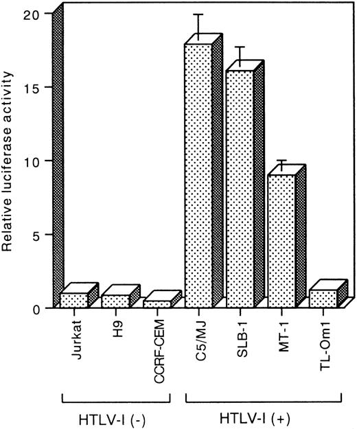 Fig. 4. Reporter assays of the hiNOS promoter construct pGLNOSa in HTLV-I–infected and uninfected T-cell lines. Five micrograms of the pGLNOSa construct were transfected. Luciferase activity was normalized to protein content. The promoter activity is represented as fold induction relative to that of the HTLV-I negative control Jurkat. Data represent the mean ± SEM of three experiments.