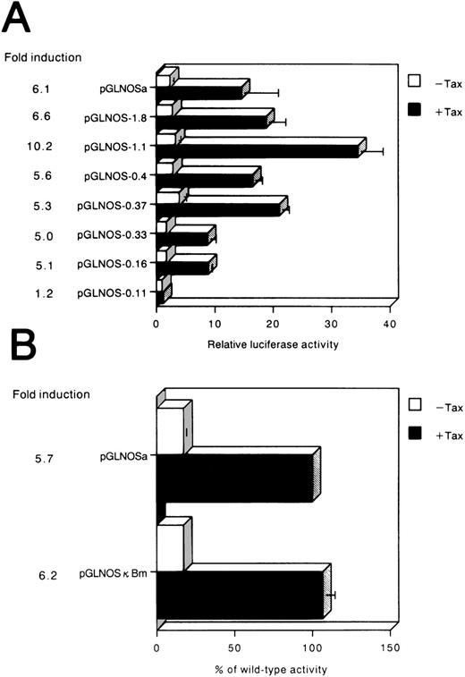 Fig. 5. (A) Activation of the hiNOS promoter by HTLV-Itax gene. The described hiNOS promoter constructs (1 μg) were transiently cotransfected with 5 μg of pH2R40M (+Tax) or with 5 μg of pH2Rneo (−Tax) into Jurkat cells. Luciferase activity normalized by protein content was expressed as the mean ± SEM of at least three experiments. The relative luciferase activity was calculated from the luciferase activity of each reporter plasmid relative to the value of pGLNOS-0.11, cotransfected with pH2Rneo and assigned a value of 1.0. The induction ratio represented the average stimulated value divided by average unstimulated value. (B) Effect of point mutation on the inducibility of luciferase activity. pGLNOSa or pGLNOSa bearing a 3-bp mutation in the NF-κB site (pGLNOSκBm) were cotransfected into Jurkat cells with 5 μg of pH2R40M (+Tax) or 5 μg of pH2Rneo (−Tax). The NF-κB site (−115 to −106; GGGACACTCC) in the hiNOS promoter was mutated to CTCACACTCC. Tax-dependent increase in reporter gene activity was expressed as a percentage of the value of pGLNOSa cotransfected with pH2R40M. Data represent the mean ± SEM of three experiments.