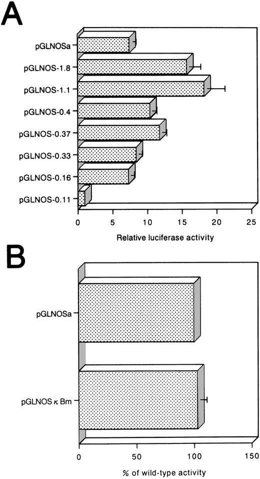 Fig. 6. (A) Reporter assay of hiNOS promoter deletion constructs in C5/MJ, an HTLV-I–infected T-cell line. The relative luciferase activity was calculated from the luciferase activity of each reporter plasmid relative to the value of pGLNOS-0.11 and assigned a value of 1.0. (B) Effect of point mutation on hiNOS basal transcriptional activity in C5/MJ cells. Values represent the mean ± SEM of three experiments.