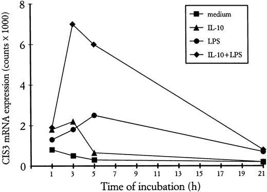 Fig. 5. Time course of CIS3 mRNA expression in PMN treated with IL-10 and/or LPS. PMN were incubated for the indicated times with 500 U/mL IL-10 in the presence or absence of LPS, before total RNA extraction and Northern blot analysis for CIS3 mRNA expression. The extent of hybridization was quantitatively analyzed in an InstantImager (Packard Instruments) and plotted after actin normalization. This experiment is representative of 3.