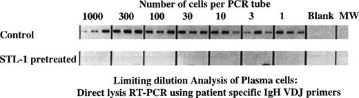 Fig. 7. SLT-1 pretreatment depletes myeloma plasma cells by more than 3 log units as measured using a cellular limiting dilution RT-PCR analysis for clonotypic transcripts. Harvested cells from sample in Fig5 were further analyzed for the presence of clonotypic cells to enumerate specifically the depletion of the malignant clone. For myeloma patient no. 4, untreated or SLT-1–pretreated cultures were harvested at day 6 and deposited at limiting dilution into PCR tubes containing lysis buffer, followed by RT-PCR analysis using patient-specific primers as described in the methods section.24 The product amplified from cells of the control cultures was a clonotypic IgH VDJ transcript of the expected size and sequence. Products amplified from cells that were pretreated with SLT-1 were of an incorrect size and did not have an Ig sequence.