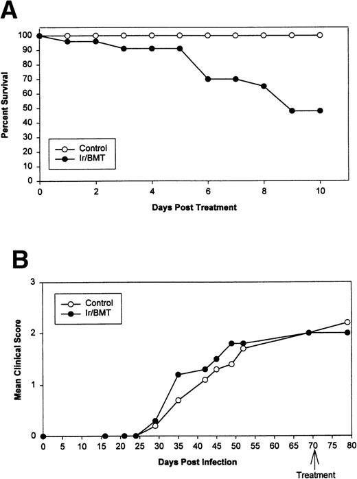 Fig. 1. Syngeneic BMT using naive SJL donor marrow for SJL/J disease-susceptible TMEV-infected recipients. (A) Survival curve. (B) Mean clinical score. Ir = 1,100 cGy TBI.