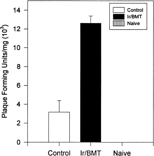 Fig. 4. Viral titer within the spinal cord of animals infected with TMEV. Naive mice were never inoculated with TMEV. Control mice were inoculated with TMEV but had no further treatment. Ir/BMT, treatment with TBI and BMT from uninfected healthy syngeneic animals. Assays were performed on day 128. These results are representative of 2 assays.
