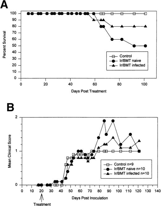 Fig. 6. Allogeneic BMT using naive or TMEV-infected B6D2 disease-resistant donor marrow for DBA/2J disease-susceptible recipients inoculated with TMEV. (A) Percentage of animals surviving. (B) Neurologic score of surviving mice.