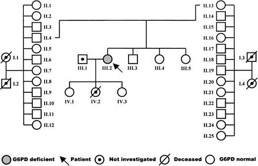 Fig. 1. Pedigree of the patient’s family.