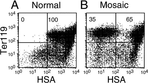 Fig. 2. FACS analysis of fetal liver cells mosaic for the expression of GPI. A Pigaflox male mouse was crossed with hCMV-Cre female, and liver cells were prepared from day 14 embryos. (A) Liver cells from morphologically normal embryos. (B) Liver cells from morphologically abnormal female embryos. Fetal liver cells were stained for TER119 and HSA. Numbers in upper quadrants show percentages of HSA+ and HSA−TER+ cells.