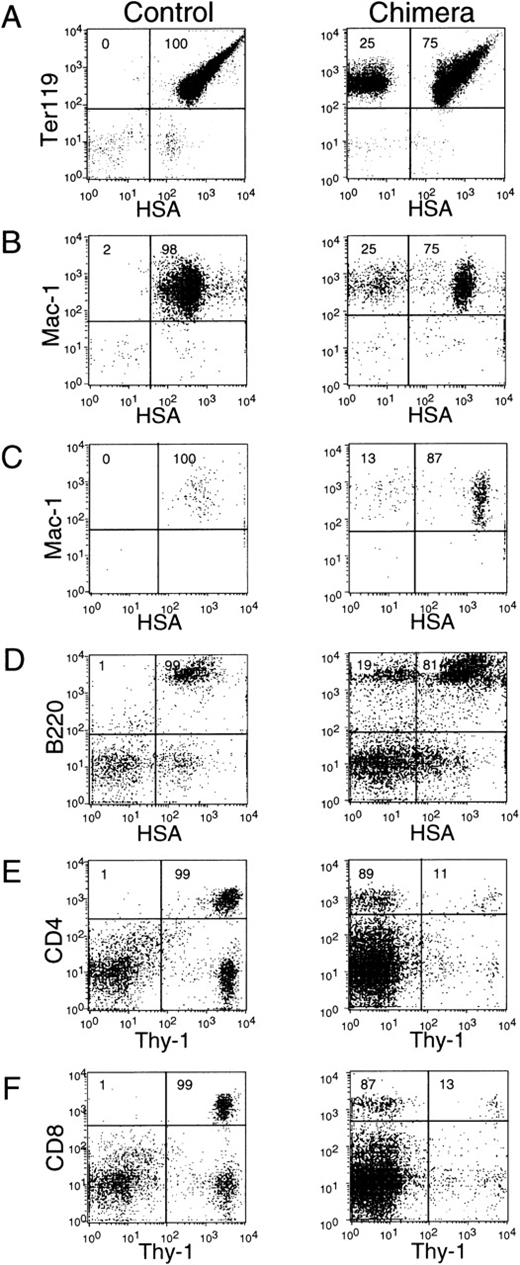 Fig. 3. FACS profiles of the blood cells 34 weeks after transplantation. The peripheral blood cells were stained in three colors for Ly5.1 (except for red blood cells), a lineage marker, and a GPI-anchored protein. Except for red blood cells, cells were first gated by Ly5.1 expression. Right panels show the surface expressions of GPI-anchored proteins in various lineages of cells from a mouse transplanted with mosaic fetal liver cells. Left panels show those from a mouse transplanted with liver cells of a normal littermate embryo. (A) Erythrocytes stained for TER119 and HSA. (B) Granulocytes stained for Mac-1 and HSA. (C) Monocytes stained for Mac-1 and HSA. Granulocytes and monocytes were distinguished according to light scattering profiles. More than 99% of granulocytes and monocytes were Ly5.1-positive, donor-derived cells. (D) B cells stained for B220 and HSA. More than 99% of B cells were of donor origin. (E) CD4 T cells stained for CD4 and Thy1. Ninety-five percent of CD4 T cells were of donor origin. (F) CD8 T cells stained for CD8 and Thy1. Ninety percent of CD8 T cells were of donor origin.