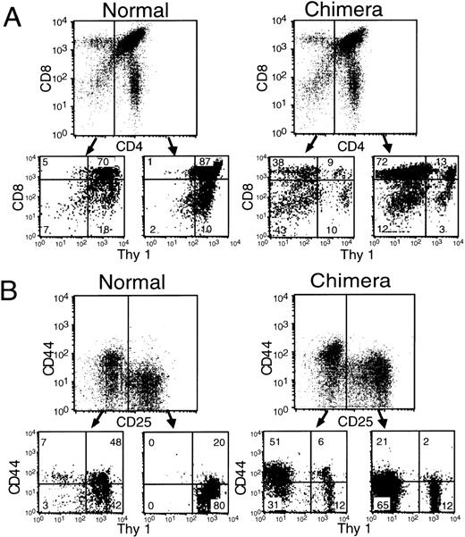 Fig. 7. Analysis of thymocytes from chimeric mice bearing GPI− cells. (A) Thymocytes were stained in four colors for Ly5.1, CD4, CD8, and Thy1. CD4+ and CD4− cells were separately examined for the expression of CD8 and Thy1. (B) The selected CD4,CD8 double negative thymocytes were further stained in four colors for Ly5.1, CD44, CD25, and Thy1. CD25+ and CD25− cells were separately examined for the expression of CD44 and Thy1.