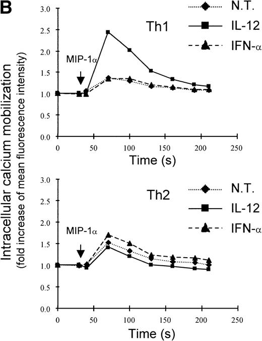 Fig. 2. Regulation of integrin 6 subunit and CCR1 by IL-12 and IFN- in Th1 cells. Th1 cells were cultured in medium supplemented with IL-2 and stimulated with IL-12 or IFN- as described in Materials and Methods. At different times after stimulation with the cytokines, the cells were harvested, washed, and total RNA extracted. 10 μg of total RNA purified from untreated or cytokine-stimulated Th1 cells were subsequently used for Northern blot analysis. Filters were hybridized with 32P-labeled probes for integrin 6, CCR1, and GAPDH. One representative experiment of 2 performed is shown. (B) 24 hours after the addition of the cytokines, Th1 and Th2 cells were harvested, washed, and loaded with Fluo-3AM. Untreated cells (dotted lines), IFN-–treated cells (dashed lines), or IL-12–treated cells (solid lines) were analyzed by FACS before and after addition of MIP-1. Time of addition of MIP-1 is indicated by the arrow. The response is expressed as fold increase of mean fluorescence intensity at time 0 for emissions at 525 nm. One representative experiment of 5 performed is shown.