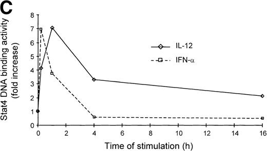 Fig. 3. Different kinetics of Stat4 activation in response to IL-12 and IFN- in Th1 cells. Th1 and Th2 cells were cultured in a medium supplemented with IL-2 and stimulated with IL-12 or IFN- and cells were harvested, washed, and lysed as described in Materials and Methods. Five micrograms of whole cell extracts were incubated with a32P-labeled oligonucleotide with the sequence of a Stat4 DNA-binding site. Migration of specific Stat4: DNA complexes is indicated by the arrow. (A) Kinetics of inducible Stat4 DNA-binding activity upon stimulation of Th1 and Th2 cells with either IL-12 or IFN- for 0.25, 1, 4, and 16 hours. (B) Inducible Stat4 DNA-binding activity in Th1 (lanes 1-3) and Th2 cells (lanes 4-6) before (lanes 1 and 4) or 30 minutes after stimulation with IL-12 (lanes 2 and 5) or IFN- (lanes 3 and 6). Nuclear extracts from IL-12–stimulated Th1 cells were incubated with anti-Stat4 (lane 7) or control (lane 8) rabbit polyclonal antibodies. (C) A densitometric analysis of the kinetics of Stat4 DNA-binding activity induced by IL-12 or IFN- in Th1 cells from the experiment shown in (A).