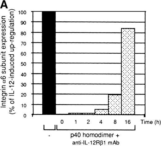 Fig. 4. Requirement of prolonged IL-12–mediated signaling for integrin 6/β1 upregulation in Th1 cells. (A) Th1 cells were cultured in medium supplemented with IL-2 and stimulated with IL-12 as before. At 0, 1, 2, 4, 8, and 16 hours after stimulation with IL-12, a combination of anti–IL-12R β1 MoAb and mouse p40 homodimer were added to the culture as described in Materials and Methods. After 48 hours from the initial stimulation, the cells were harvested, washed, and stained for surface expression of integrin 6/β1. The expression of integrin 6/β1 measured after 48 hours of stimulation with IL-12 (black bar) was taken as 100% of expression. The experiment shown is representative of 2 performed. (B) Stat4 DNA-binding activity in Th1 cells before (lane 1), or after 30 minutes (lane 2) and 60 minutes (lanes 3-5) of stimulation with IL-12 (lanes 2-5). A combination of anti–IL-12R β1 MoAb and mouse p40 homodimer was added either at the time of addition of IL-12 (lane 4) or 30 minutes after (lane 5). Migration of specific Stat4:DNA complexes is indicated by the arrow.