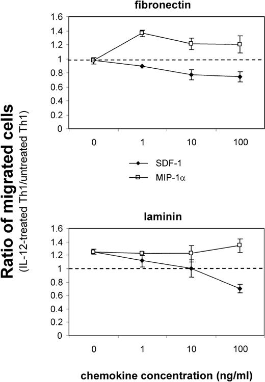 Fig. 6. Upregulation of integrin 6/β1 and CCR1 by IL-12 promotes the migration of Th1 cells. IL-12–treated or untreated fluorescent-labeled Th1 cells were added to triplicate transwell filters that had been coated with fibronectin or laminin. Indicated concentration of chemokines SDF-1 and MIP-1 was added to the lower compartment of the transwell. The percentage of input cells that migrated to the bottom of the transwell after 3 hours of incubation was determined by flow cytometric analysis as described for Fig 5. Data are expressed as the ratio of migrated IL-12–treated versus untreated Th1 cells. The dashed horizontal line indicates the ratio equal to 1, which would result from an equivalent migration of IL-12–treated versus untreated Th1 cells. The experiments shown are representative of 5 performed.