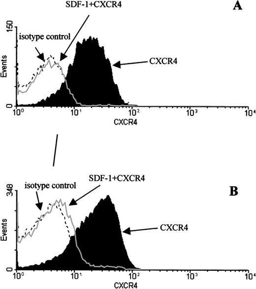 Fig. 3. SDF-1 induced internalization of CXCR4 from surface of early and mature B cells. Total bone marrow lymphocytes were incubated for 30 minutes at 37°C with 125 nmol/L of SDF-1 and placed on ice immediately after incubation to prevent resurfacing of the receptor. Cells were subsequently washed in ice-cold glycine buffer to remove cell bound SDF-1. Next, the cells were stained for CXCR4 expression in parallel with surface markers defining (A) early and (B) late lineage B cells (see Fig 1A). The early lineage B-cell population contained both pro-B and pre-B cells, whereas late lineage B cells contained immature and mature B cells. The shaded part of the histogram represents untreated cells; the gray line represents cells incubated with SDF-1; the dashed black line represents antibody isotype control. The results are representative of 3 experiments with primary B cells.