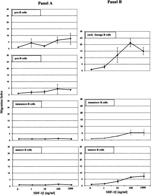 Fig. 4. Migration of different B-cell subsets from adult bone marrow to human SDF-1β. Chemotaxis of FACS-sorted B cells (A) or B cells from total bone marrow (B) in response to serial dilutions of SDF-1β (1 to 1,000 ng/mL) or medium alone is shown. In (B), early lineage B cells define a cell population that includes both pro-B (CD19+, κ−/λ−, CD34+) and pre-B (CD19+, κ−/λ−, CD34−) cells. Results are expressed as the migration index, which is defined as the number of cells migrated to the lower compartment in the presence of the chemokine divided by the number of cells that have migrated to the lower compartment in the presence of medium alone. A migration index 1 indicated the migration of 1.1% of total input cells and a migration index of 20 equaled 35% migration of total input cells. The results are representative of 4 experiments with primary B cells from total bone marrow and 2 with sorted bone marrow B cells.