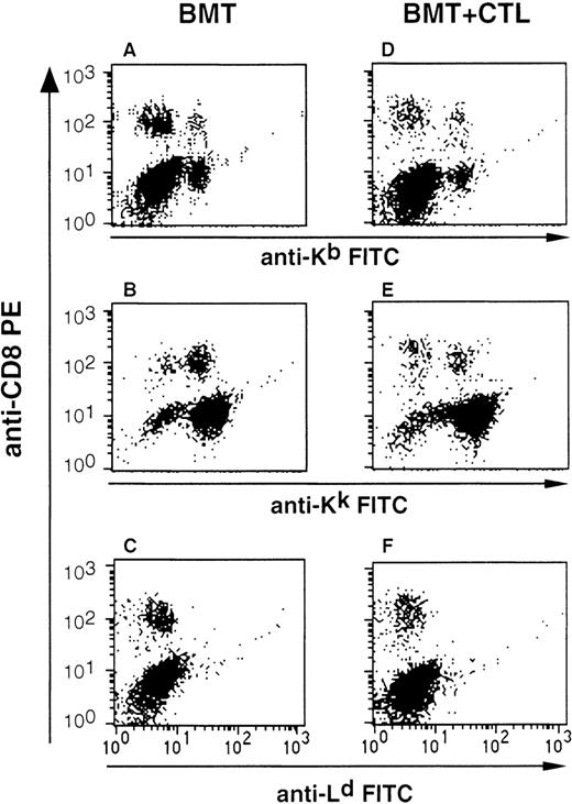 Fig. 2. FACS analysis to monitor BM engraftment and to search for injected CTL. Shown is the analysis of splenocytes isolated from C57BL/6 mice that either received BM from B10.A(4R) donors (BMT group) or BM and 1.5 × 107 cloned allo-restricted CTL of BALB/c origin (BMT+CTL group). Splenocytes were stained with PE-labeled CD8 antibodies and with antibodies specific for the MHC class I alleles Kb, Kk, and Ld. The cells displayed in all panels were acquired through a lymphocyte gate set according to the size (FSC) and granularity (SSC) of lymphocytes. Shown is a representative analysis performed 6 weeks after BMT. Similar data were obtained with mice analyzed between 4 and 14 weeks after BMT.