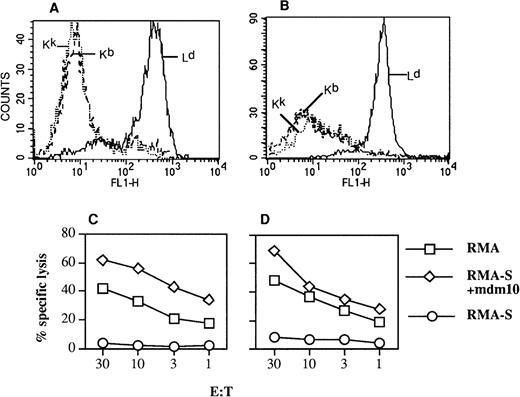 Fig. 4. MHC phenotype and killing specificity of CTL reisolated from BMT recipients. C57BL/6 mice were transplanted with BM from B10.A(4R) mice and injected the following day with mdm100-specific CTL isolated from BALB/c mice. (A) After 4 weeks, mice were killed and cells from lymph nodes were stimulated in bulk cultures as described in Fig 3, resulting in mdm100-specific CTL activity similar to that seen in Fig 3C. (B) After 4 weeks, mice were killed and cells from lymphoid tissues were analyzed in LDA assays as described in Fig 5. The CTL bulk cultures (A) or the CTL expanded from positive wells of LDA assays (B) were then double-stained with PE-labeled CD8 antibodies and antibodies specific for Kb, Kk, and Ld. Staining with the anti-class I antibodies was detected with FITC-labeled secondary antibodies (see Materials and Methods). Shown is the staining of gated CD8 cells with the indicated anti-class I antibodies. Similar results were obtained in independent experiments. (C and D) CTL killing of RMA-S target cells coated with mdm100 and of RMA lymphoma cells expressing naturally processed mdm100. (C) Analysis of CTL used for injection into BMT mice and (D) analysis of CTL rescued from mice and expanded from LDA plates as in (B).