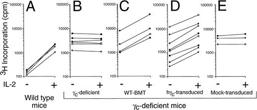 Fig. 7. γc-transduced mice exhibited IL-2–induced proliferation of fresh splenocytes, whereas mock-transduced mice did not. 3H-thymidine incorporation assays were performed as described in Materials and Methods for wild-type mice (A), γc-deficient mice (B), or in γc-deficient mice that received a bone marrow transplant from wild-type mice (C) or γc-deficient bone marrow that was transduced with human γc (D) or mock-transduced (E). Shown are pooled data from 3 experiments; each pair of connected points represents an individual mouse.