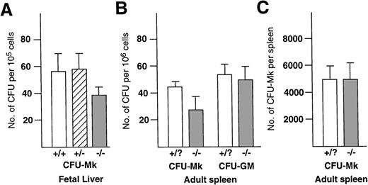 Fig. 1. Number of CFU-Mk in the hematopoietic tissues of p45 NF-E2 mutant and control mice. Cells isolated from the fetal liver (A) or adult spleen (B and C) of wild-type (+/+), heterozygote (+/−), and p45 NF-E2 mutant homozygote (−/−) mice were cultured as described, and CFU-Mk were scored at 7 days. N = 7 and 8 for control and knockout spleens; 21 and 13 for control and knockout fetal livers, respectively. Data are presented as the number of colonies per 105 (A) or 106 cells (B) or total number of colonies per spleen (C). The modest reduction in CFU-Mk in p45 NF-E2−/− cultures shown in (A) and (B) were statistically significant, with P = .002 andP < .001, respectively; all other comparisons failed to achieve statistical significance using the Student’s t-test. In experiments for which a distinction was not made between +/+ and +/− (nonmutant) mice, these genotypes are collectively designated as +/?.
