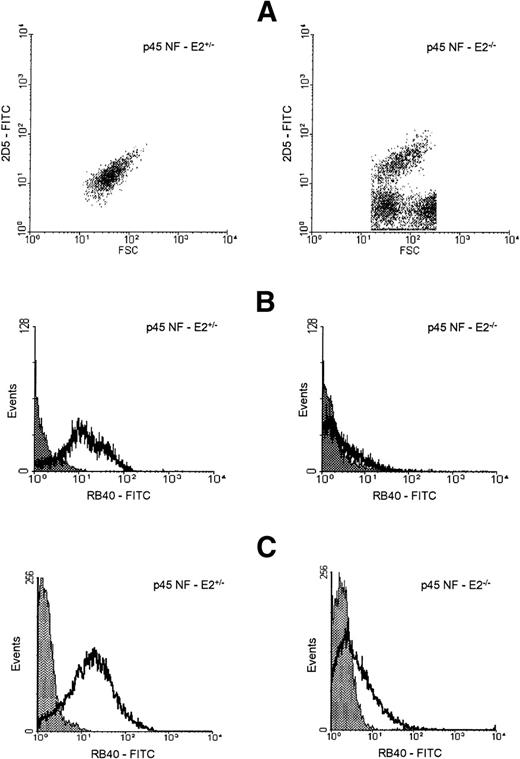 Fig. 4. Characteristics of platelet-like particles in NF-E2–deficient mice. (A) Forward scatter (FSC) plot of control (p45 NF-E2+/−, left) and p45 NF-E2−/−(right) platelets, as defined by fluorescent staining with 2D5 (shown as 2D5-FITC on the ordinate). Control samples showed the same forward scatter characteristics (FSC, an estimate of cell size) as wild-type mouse platelets, whereas p45 NF-E2−/− samples included heterogeneous subpopulations of particles exhibiting similar scatter characteristics to platelets, as well as particles that failed to bind 2D5. (B and C) Representative flow cytometry histograms of platelets (2D5+ cells) reacting with the anti–P-selectin antibody RB40. The majority of 2D5+ particles from NF-E2–null mice do not express P-selectin after stimulation with bovine thrombin (B) or phorbol myristate acetate (PMA; C). The shaded curves represent staining of unstimulated cells (background) while the clear curves show P-selectin expression after stimulation with thrombin (B) or PMA (C). All events were gated on 2D5 positivity, the data are representative of 7 (B) and 4 (C) similar experiments, respectively, and the numbers are presented in greater detail in Table 1.