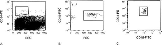 Fig. 4. Flow cytometric analysis used to determine the number of CD34+ UCB cells retrieved from the NOD/SCID mouse BM 24 hours after transplantation. Dead cells were excluded using 7-AAD. In dot plot A, living CD34-PE positive cells are gated and shown in dot plot B. CD45dim cells possessing large forward light scatter properties are gated and shown in a CD45-FITC versus CD34-PE dot plot (C). Dot plot C clearly shows that all of the gated cells in plot B belong to a clear double positive population representing the CD34+ UCB cells retrieved from the NOD/SCID mouse BM.