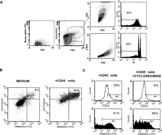 Fig. 2. Control tests to ascertain that CD10 is synthesized and expressed by apoptotic T cells. (A) Cells were exposed to CD95 MoAb for 18 hours, gated as indicated, and sorted. The sorted cells were analyzed for SSC and FSC or apoptosis by PI staining. (B) Cells were exposed to CD95 MoAb or medium for 48 hours and triple stained in isotonic medium with PI, Annexin-V-FITC, and CD10 MoAb-PerCP. The cells that excluded PI were gated and analyzed. (C) Cells were exposed to CD95 MoAb in the presence or absence of cycloheximide (50 μg/mL) and analyzed for CD10 expression and apoptosis by Annexin-V FITC staining.
