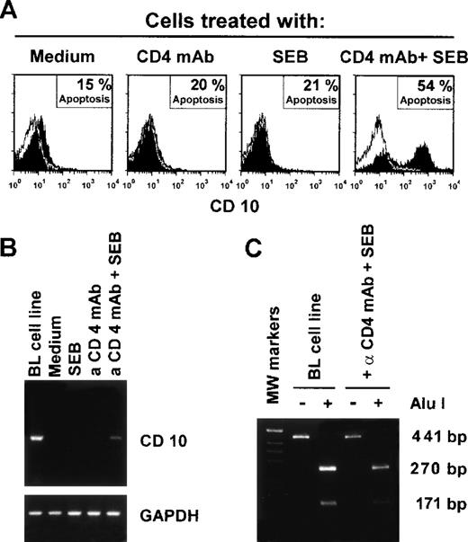 Fig. 4. Expression of CD10 by CD4+ T cells induced into apoptosis in vitro. (A) Purified CD4+ T cells were exposed to SEB and/or CD4 MoAb under cross-linking conditions in different combinations as indicated. The cells were obtained after 24 hours and CD10 expression and apoptosis (PI staining) were measured by flow cytometry. (B) RT-PCR analysis of CD10 mRNA expression in CD4+ T cells exposed to the indicated stimuli for 24 hours in vitro. Burkitt’s lymphoma B cells (LAM cell line) were used as positive control. (C) Alu I esonuclease digestion and analysis of the RT-PCR fragments extracted from the indicated cells. These results represent a typical experiment of the 3 performed.