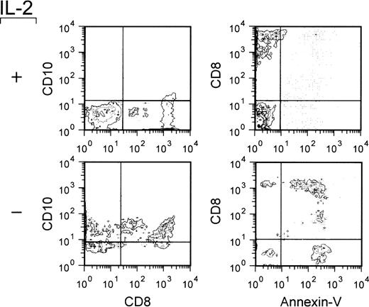 Fig. 5. Expression of CD10 by apoptosing CD8-positive T-cell blasts. T-cell blasts from IL-2–dependent continuous T-cell lines were cultured in the presence or absence of IL-2 (20 U/mL) for 48 hours. The cells were obtained, double stained as indicated, and analyzed by flow cytometry. The quadrants were drawn based on the analysis of negative controls stained with an irrelevant (isotype-matched) MoAb or analyzed in the absence of Annexin-V-FITC staining.