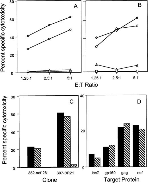 Fig. 1. Lysis of recombinant HIV-vaccinia–infected BLCL by CTL clones and a T-cell line is inhibited by calcium chelation, but not by fas-blocking antibody. Autologous BLCL targets were infected overnight with HIV env (A) or gag (B) expressing-vaccinia or with control lacZ-vaccinia (□) and labeled with 51Cr. HIV-expressing target cells were pretreated with medium (◊), EGTA-MgCl2(▵) or fas blocking antibody (○) before adding either the env-specific clone 352-env52 (A) or the gag-specific clone 352-gag27 (B). (C) The nef-specific clone 352-nef26 and the RT-specific clone 307-BR21 were tested similarly at an E:T ratio of 5:1 against control vaccinia-infected targets (□) or HIV-vaccinia (nef or RT) infected targets in the presence of medium (▪), fas-blocking antibody (▧) or EGTA (▨). (D) Cytotoxicity by a PHA-stimulated bulk T-cell line from subject 352 was tested against autologous BLCL targets infected overnight with HIV-expressing vaccinia or with control lacZ-vaccinia. Target cells were pretreated with medium (▪) or fas-blocking antibody (▧) for use in a 6-hour cytotoxicity assay at an E:T ratio of 25:1.