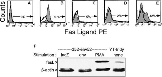 Fig. 7. FasL is upregulated in an HIV-specific CTL line after PMA exposure, but not after exposure to antigen. Surface expression of fasL was evaluated in a representative gag-specific CTL line from stage A2 HIV-seropositive subject 606 by flow cytometry after overnight culture and stimulation with unpulsed (C) or cognate peptide pulsed (D) autologous BLCL or 10 ng/mL PMA (E) in the presence of metalloprotease inhibitor KB8301. (A) and (B) depict the negative and positive control cell lines for fasL expression (A:BLCL, B:YT Indy). The unshaded histograms represent control antibody stained cells; the shaded histograms, cells stained for fasL. The percentage of fasL-expressing cells is indicated. (F) RT-PCR analysis of FasL expression by HIV-specific CTL clone 352-env52 after stimulation with antigen or PMA. The CTL clone was incubated for 6 hours with autologous lacZ- or HIV-vaccinia infected BLCL at an E:T ratio of 10:1 or with 10 ng/mL PMA. Total RNA was extracted and reverse transcribed. cDNAs amplified with fasL and β-actin primers were electrophoresed and visualized by SyBer Green staining.
