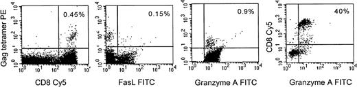 Fig. 8. Fas-L is not expressed in HIV-gag-tetramer positive circulating CD8+ T cells, but granzyme A is. Representative results from an A2-expressing seropositive subject are shown. PBMC were costained with Streptavidin PE-conjugated HLA-A2-gag tetramer, CD8-Cy5 and fasL or granzyme A MoAbs. The first 3 panels depict staining of gated CD8 bright lymphocytes; the last panel depicts all cells in the lymphocyte gate to show that most CD8−lymphocytes do not stain for granzyme A. The percent of dually positive cells is shown.