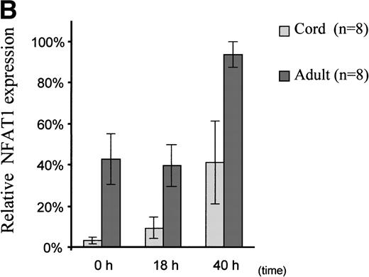Fig. 2. Reduced upregulation of NFAT1 protein in UCB T cells during primary stimulation. (A) MNC from 2 UCB units and 2 adults were stimulated in parallel with Con A for 40 hours. At 0 hour (unstim), 18 hours, and 40 hours of stimulation, T cells were purified and extracted and NFAT1 protein expression analyzed by Western blotting. The results shown are representative of 5 independent experiments, comparing in each experiment 2 UCB and 2 adult controls analyzed together and run on the same gel. (B) Graphic representation of the mean (±SE) of the quantification of relative NFAT1 expression after stimulation with Con A. Gel loading was normalized for each lane with the actin band and the intensity of each NFAT1 band was calculated as relative percentage of the most intense NFAT1 band on each gel. The most intensive band was set arbitrarily at 100% and relative percentages were then averaged and graphed.