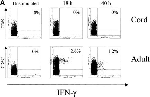 Fig. 3. Cytoplasmic expression of IFN-γ and TNF- by UCB and adult T cells. Intracellular staining was performed in parallel and on the same MNC during the primary Con A stimulation experiments for NFAT1 analysis by Western blotting. MNC from UCB or adult peripheral blood were left unstimulated or stimulated using Con A for 40 hours in identical conditions and analyzed for intracellular expression of cytokines by flow cytometry. At 0 hour (unstim), 18 hours, and 40 hours of stimulation, CD3+ cells were gated and intracellular cytokine expression in gated cells was plotted versus CD69 expression. Numbers in histograms indicate the percentage of CD3+/CD69+ cells expressing the cytokine. (A) Intracellular staining for IFN-γ. (B) Intracellular staining for TNF-.